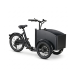 Chanty Cargo Teen Electric