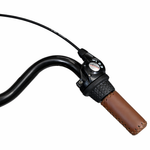 Chanty Brown Lady 26