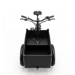 Chanty Cargo Teen Electric