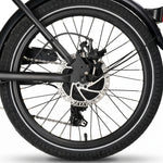 Chanty Cargo Teen Electric