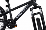 Chanty Black Lady 26