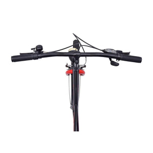 Chanty 24