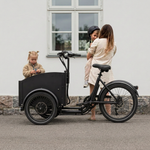Chanty Cargo City Bike Elettrica