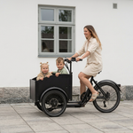 Chanty Cargo City Bike Elettrica
