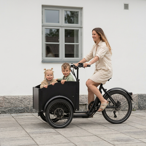 Chanty Cargo City Bike Elettrica